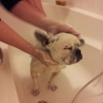 bram wassen